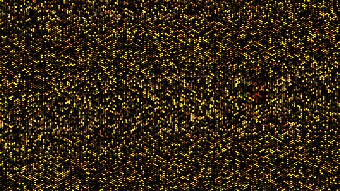 Microarray 1